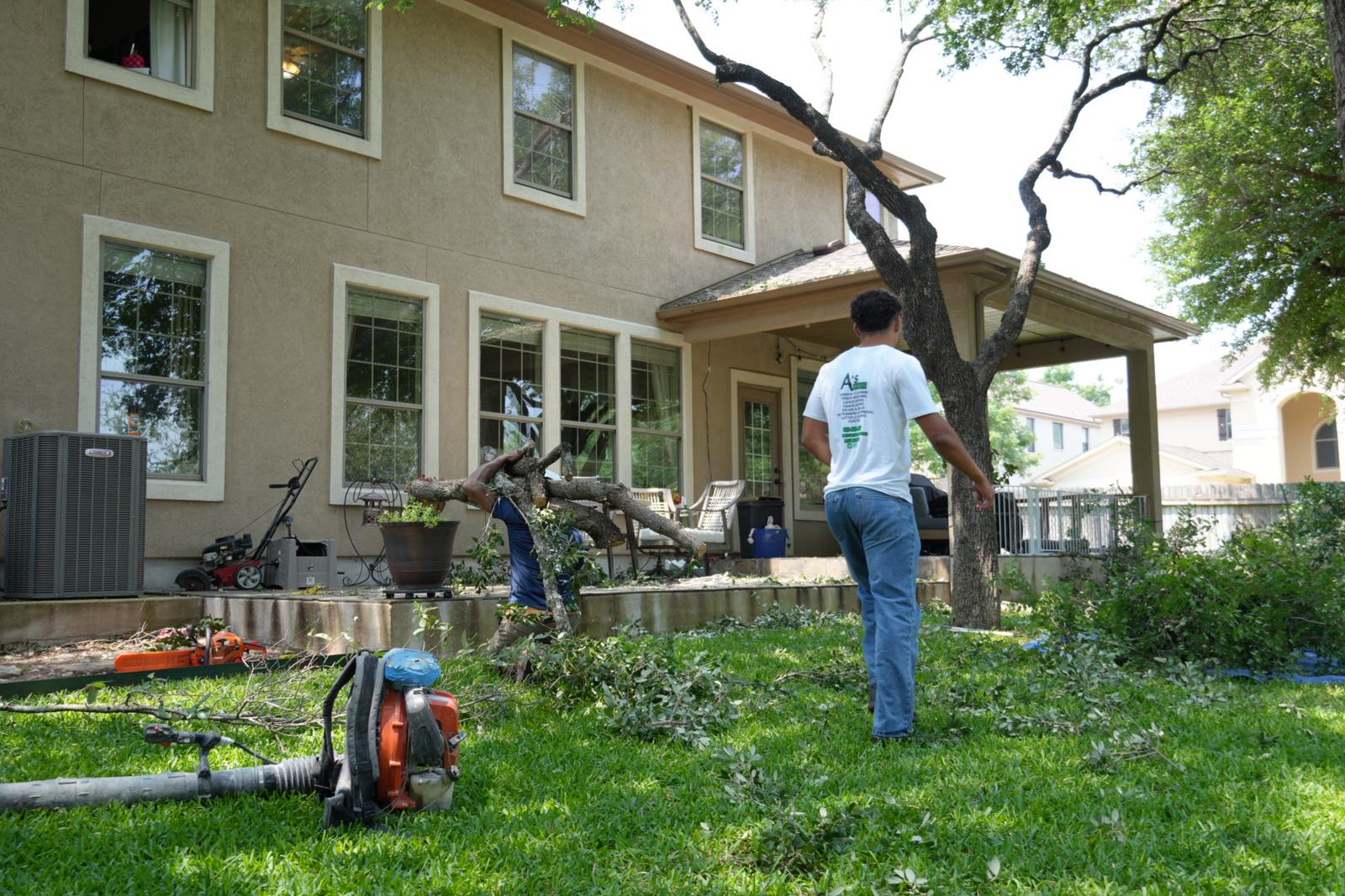 Tree trimming & removal by A's Exterior Services